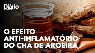 Chá de aroeira: saiba como fazer e para que serve