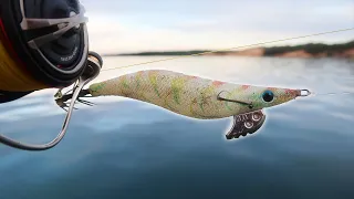 This Squid Jig Always Catches!!