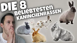 Die 8 beliebtesten Kaninchen Rassen + Steckbrief 🐇 | Schustrich S 2.0 ⭐