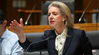 ‘Bridget McKenzie led the charge’: Senator praised over aviation inquiry performance