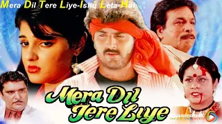 Mera Dil Tere Liye Ishq Leta Hai