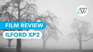 Ilford XP2 Review - "The Colour B&W Film"