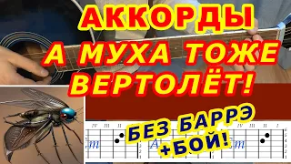 А МУХА ТОЖЕ ВЕРТОЛЕТ Аккорды 🎸 БЕЗ БАРРЭ ♪ Разбор песни на гитаре ♫ Гитарный бой для начинающих