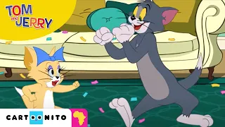 Mouse Party! with Tom and Jerry | Cartoonito Africa