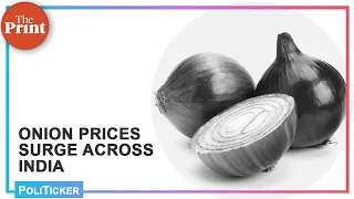 Onion prices surge but politicians know better than to trifle with the humble vegetable