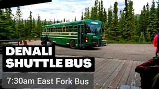 Day 14 Denali East Fork Shuttle Bus Tour | Denali National Park