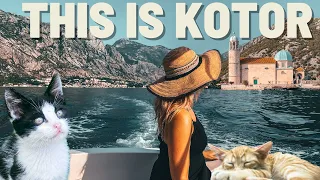 First Impressions KOTOR | Montenegro CATS and Sunset Cruise