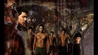 Twilight Wolves - Superheroes