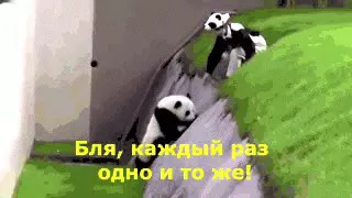 Пьяная панда с комментами