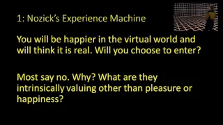 Against Happiness?  Is happiness (or pleasure) the only intrinsic good?