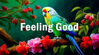 Feeling Good 🌻 Chill songs when you want to feel motivated and relaxed | Morning Songs