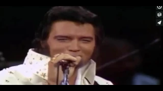 Elvis Presley   If you love me let me know