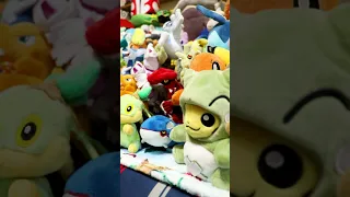 We Have Too Many Plushies!