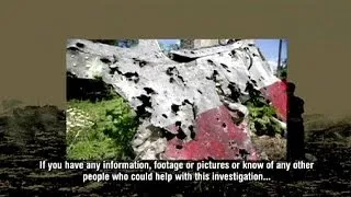 MH17 crash: Video appeal launched for BUK rocket witnesses