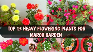 TOP 15 HEAVY FLOWERING PLANTS FOR MARCH GARDEN | SUMMER FLOWERS 🌹🌺