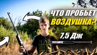 Что пробьет воздушка? Пружина до 7,5 джоулей! | Стрельба из винтовки!