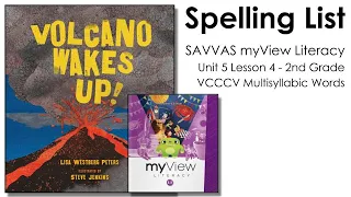 SAVVAS myView Literacy Unit 5 Lesson 4 Spelling - 2nd Grade