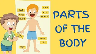 Kids vocabulary - Parts of the Body - Learn English for kids - English educational video.
