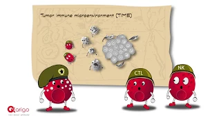 Tumor immune microenvironment (TIME) - arigo minifilm