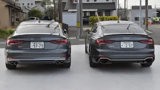 Audi RS5 & S5 Cold Start