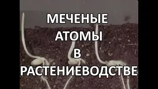 Меченые атомы