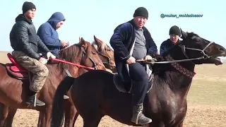 Келес ауданы Калгансыр ауылы Дарменшиев Оразалы мырзанын елден бата алу той кокпары 12 02 2023