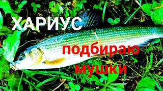 Рыбалка на реке / Ловим хариуса на мушки