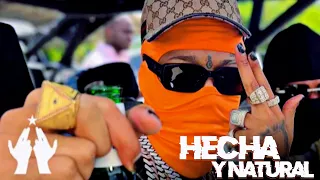 Rochy RD  -  Hecha y Natural  (VIDEO OFICIAL)