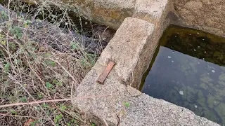 Echamos a los animalillos y vamos a ver un pilón de canteria👍