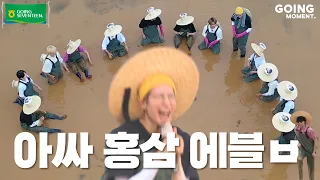 [GOING MOMENT] 세븐틴은 홍삼 게임에 꽤 진심임👨‍🌾