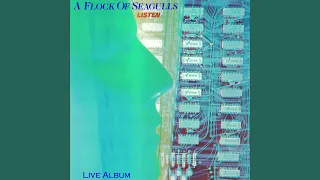 A Flock of Seagulls - Listen (Live Album)