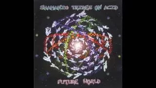 Shamanic Tribes On Acid -  Future World