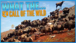 This MOD MENU Is Hilarious On Call Of The Wild!