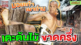 #พ่อชาญ นักชกรุ่นเก๋า เตะต้นไม้ขาดครึ่ง ! | SUPER100