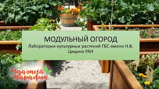 Модульный огород.Лаборатория культурных растений ГБС. Удачный марафон. Онлайн-школа Шкатулочка