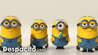 i love this version :) Despacito ( minions cover)