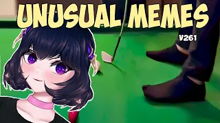 UNUSUAL MEMES V261 with ErinyaBucky