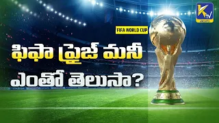 How Much Is The Prize Money Of The FIFA World Cup | FIFA World Cup Trophy Actually Worth And Details