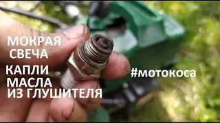 #Мотокоса. Мокрая свеча зажигания . Капает масло из глушителя.  Долго не проработает 100%