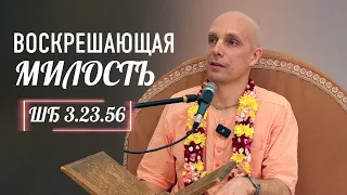 2024-06-02 — "Воскрешающая милость" ШБ 3.23.56 в Ташкенте