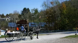 This Group of Amish Live Longer. Here's Why.