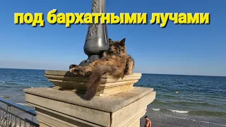 ОДЕССА ❤️ сегодня ЗОЛОТОЙ БЕРЕГ❗️КОММЕНТ ОТ ДОБРОЖЕЛАТЕЛЯ❗️ХУРМА ЖЕМЧУЖИНА СВАНЕТИИ и БОЖИЙ ДАР ❓️