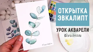 Как нарисовать эвкалипт. Урок акварели. Открытка с эвкалиптом