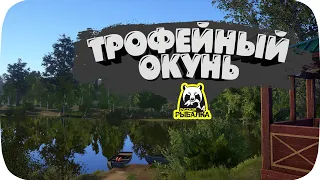 Трофейный окунь на озере Комариное (Русская рыбалка 4)