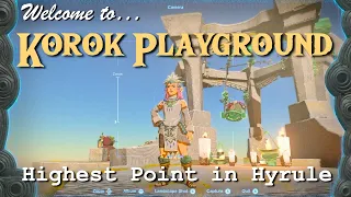 Korok Playground at the highest point in Hyrule