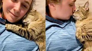 Loyal Animal And Their Humans Have The Strongest Bond - Cute Animals Show Love