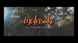 MOLASOKO (Official Music Video)