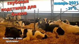 Глубокая подстилка для быков. КАК МОРОЗЫ- ТАК ЛОМАЕМСЯ ! ХЬЮСТОН, У НАС ПРОБЛЕМЫ. январь 2021