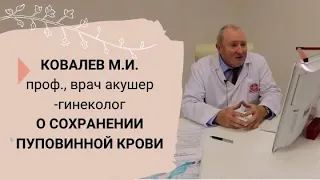 Сохранение пуповинной крови при родах  Что нужно знать будущим родителям