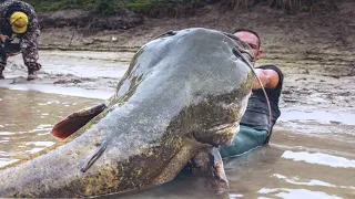 15 Biggest River Monsters Ever Caught
